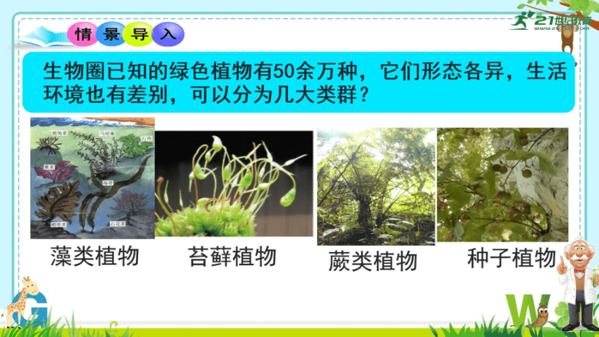 微课 第一节 藻类、苔藓和蕨类植物 课件（希沃版+PPT图片版）