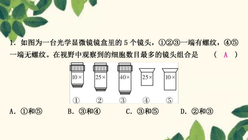 人教版生物七年级上册 期末复习专题(二)　第二单元生物体的结构层次 习题课件 (共22张PPT)