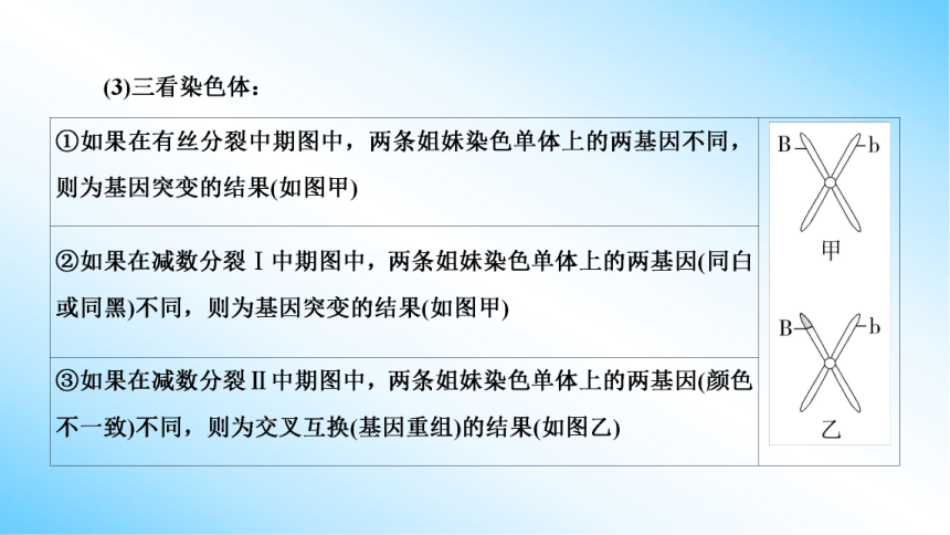 【课件版学案】第5章(微专题2) 基因突变和基因重组类型的判断  人教版2019必修2(共18张PPT)