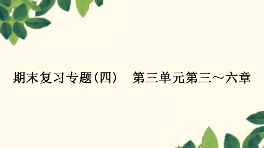 人教版生物七年级上册 期末复习专题(四)　第三单元 第三～六章 复习课件(共22张PPT)