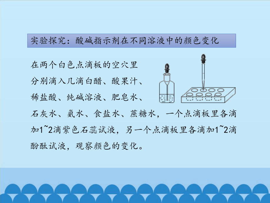 鲁教版（五四制）化学九年级全一册 2.3  溶液的酸碱性  课件 (共26张PPT)