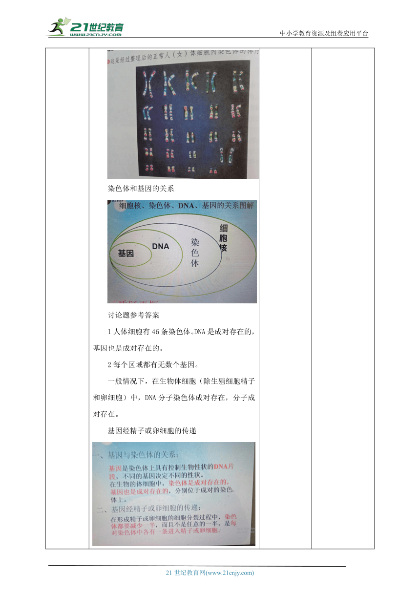 7.2.2基因在亲子代间的传递 教学设计