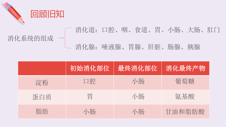 4.2.3合理营养与食品安全课件(共21张PPT)