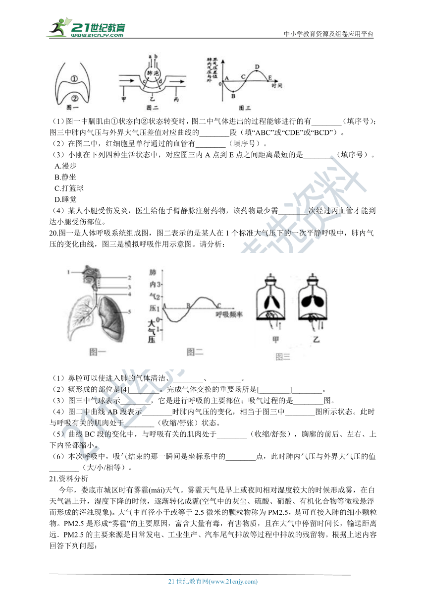 北京版2021初中生物七年级下册第六章 生物的呼吸 章末检测（含解析）
