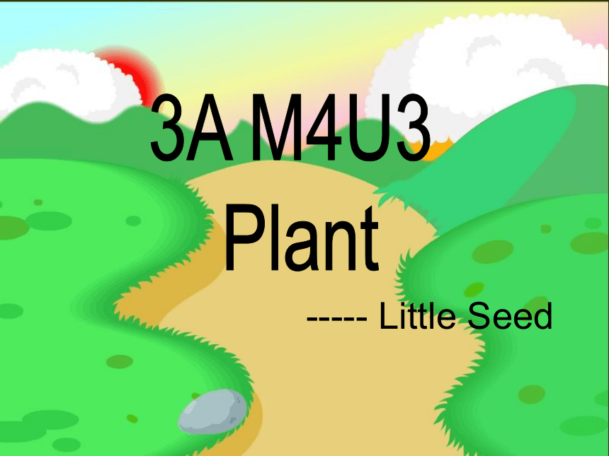 Module 4 Unit 3 Plants课件（共30张PPT）