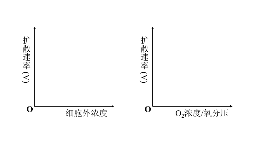 2021——2022学年高一上学期高中生物人教版  必修1 -4.3  物质跨膜运输的方式  课件（29张ppt)