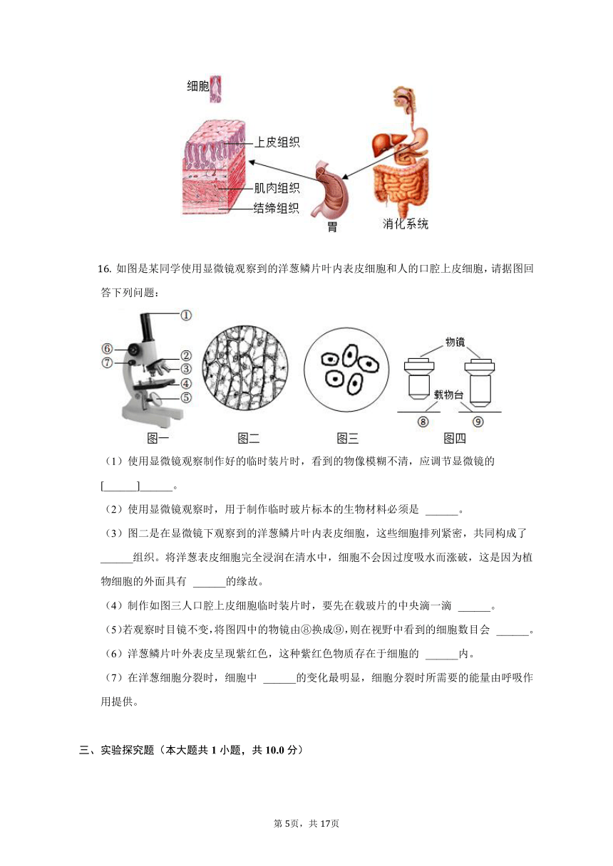 2022-2023学年辽宁省沈阳市沈北新区七年级（上）期中生物试卷（含解析）