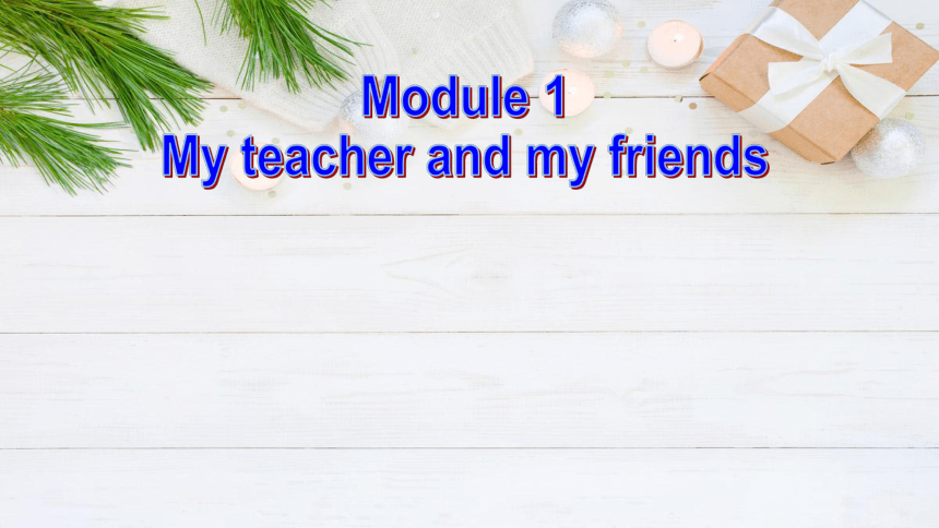 外研版Starter Module1-4复习课件（105张）