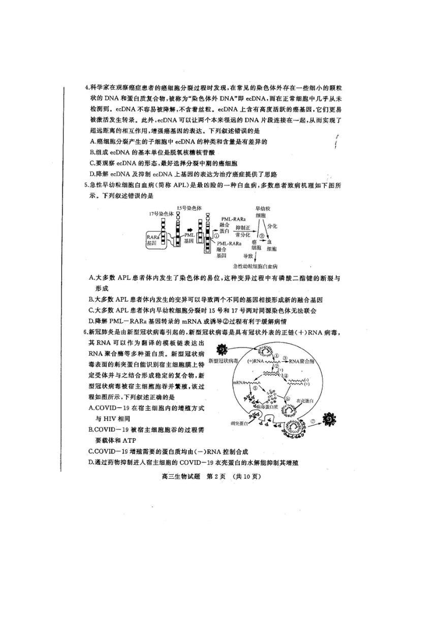 山东省聊城市2021届高三上学期期末考试生物试题    扫描版含答案