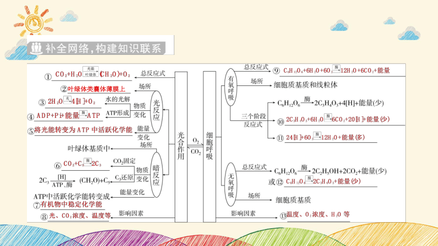 高考生物二轮重点讲练：第4讲　细胞呼吸和光合作用(共126张PPT)