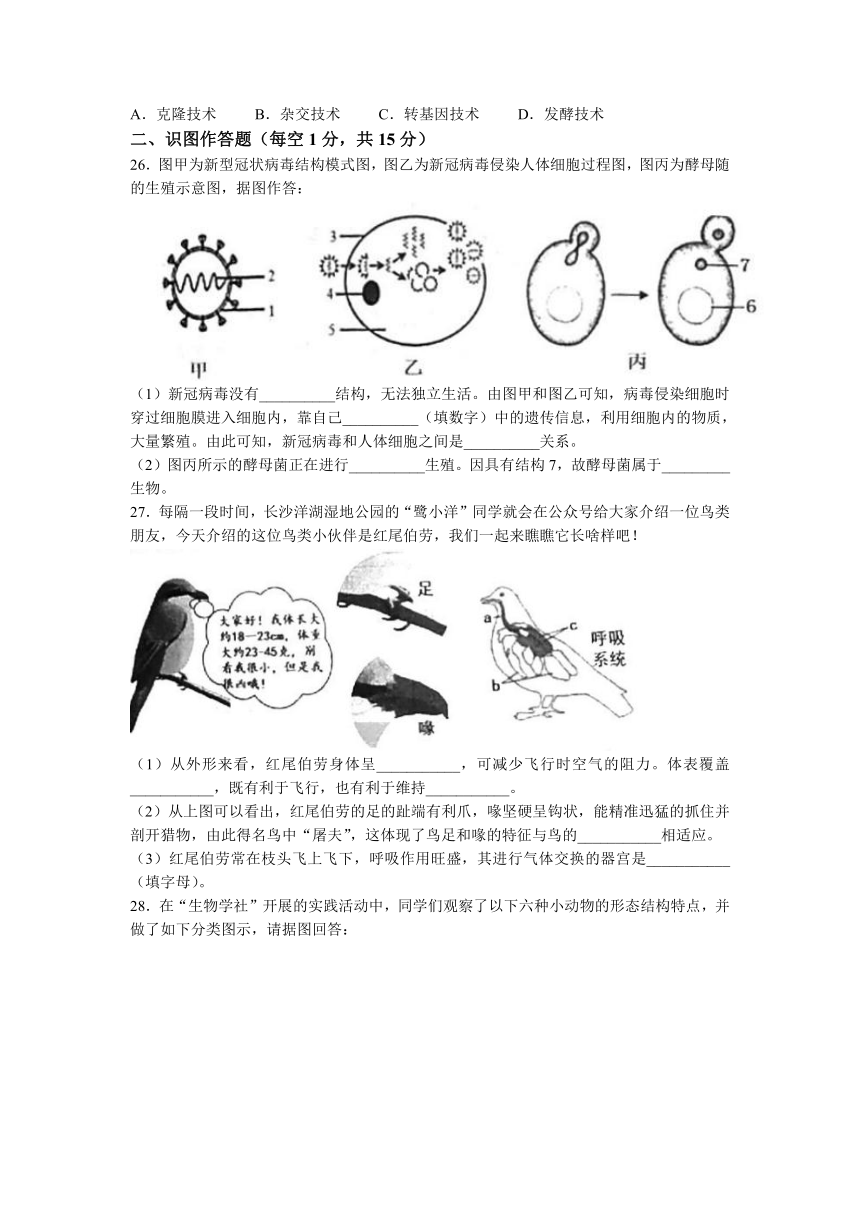 湖南省长沙市雅礼教育集团2022-2023学年八年级上学期期中联考生物试卷题 (含答案)