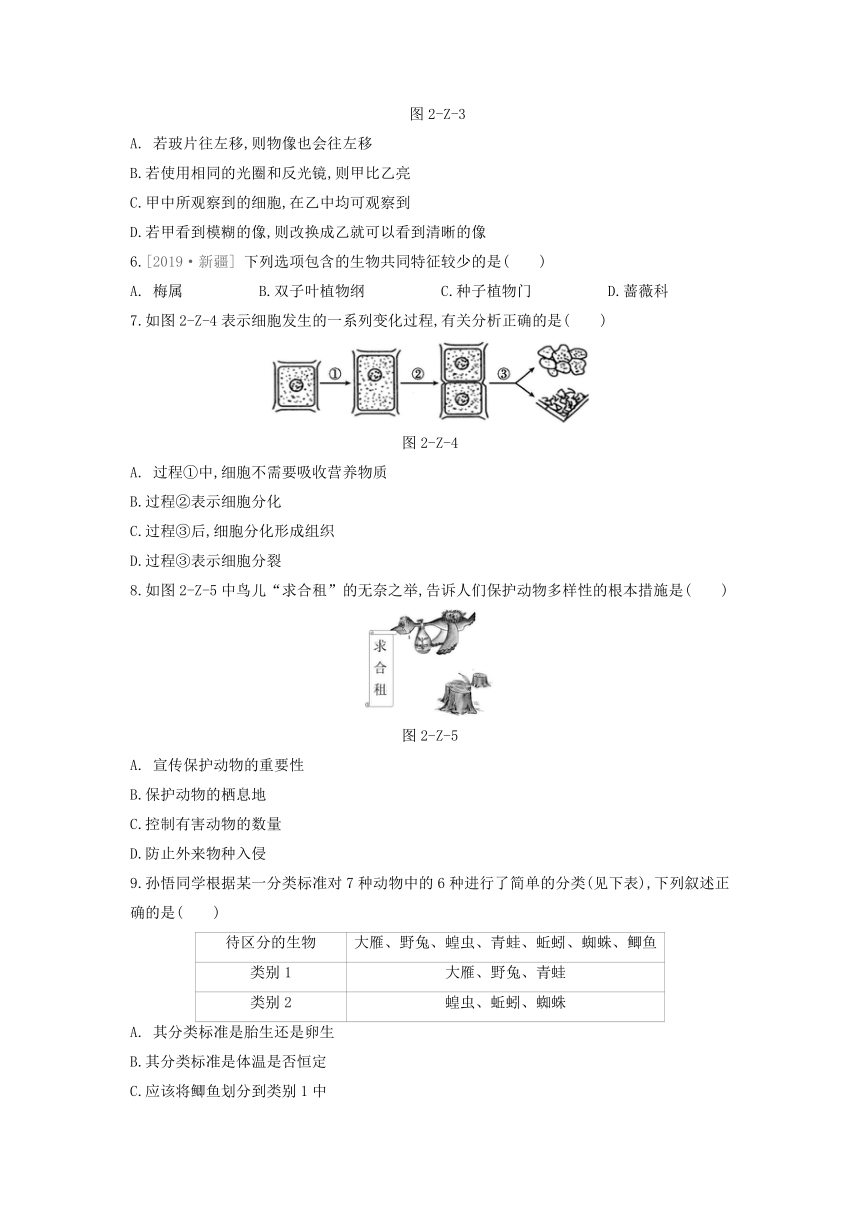 第2章 观察生物 自我综合评价（含答案）