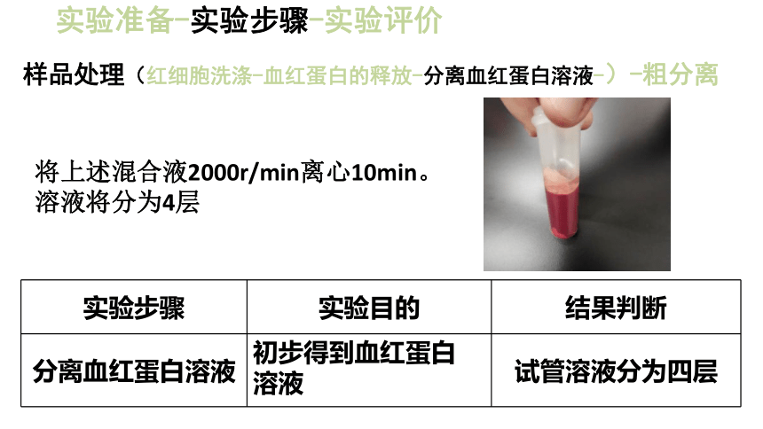 2020-2021学年高二下学期生物人教版选修1  5.3血红蛋白的提取和分离课件 （53张ppt）