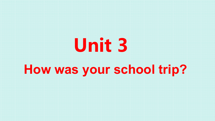 鲁教（五四）版七年级上册 Unit3 How was your school trip？SectionA 课件(共21张PPT)