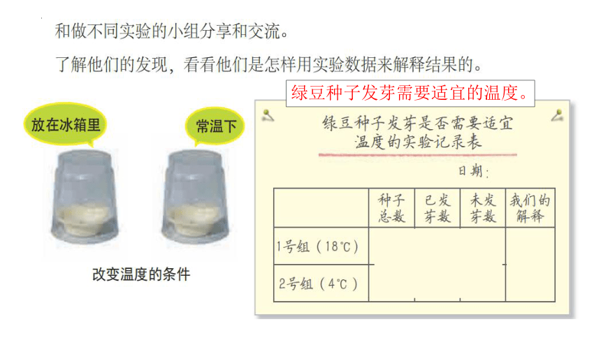 教科版（2017秋）小学科学 五年级下册2.2比较种子发芽实验 课件(共13张PPT)