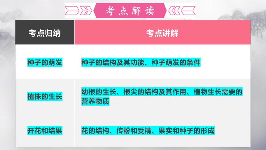 第三单元 第二章 被子植物的一生-【复习旧知】2022-2023学年七年级生物上册复习课件（人教版）(共50张PPT)