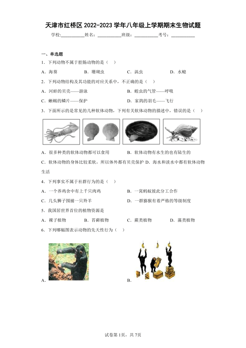 天津市红桥区2022-2023学年八年级上学期期末生物试题（含答案）