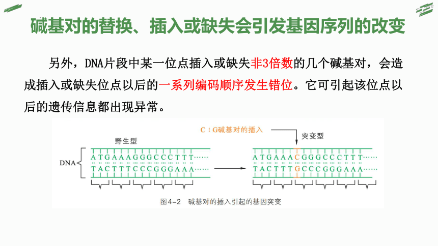 4.1 基因突变可能引起性状改变(共53张PPT)-高一生物课件（浙科版2019必修2）