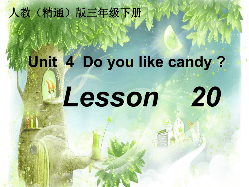 Unit 4  Do you like candy? Lesson20 课件(共15张PPT)