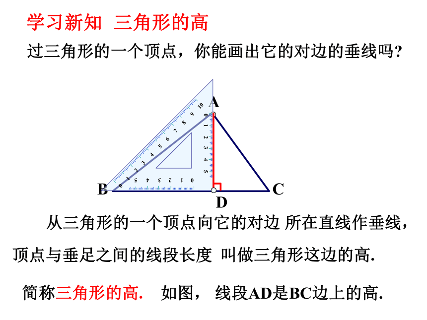 11.1.2 三角形的高、中线与角平分线 课件(共28张PPT)
