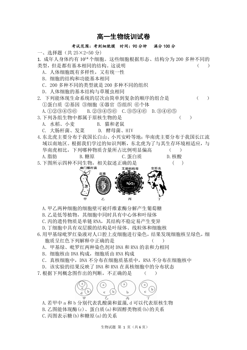 1.3.1高一生物：细胞膜（含答案）