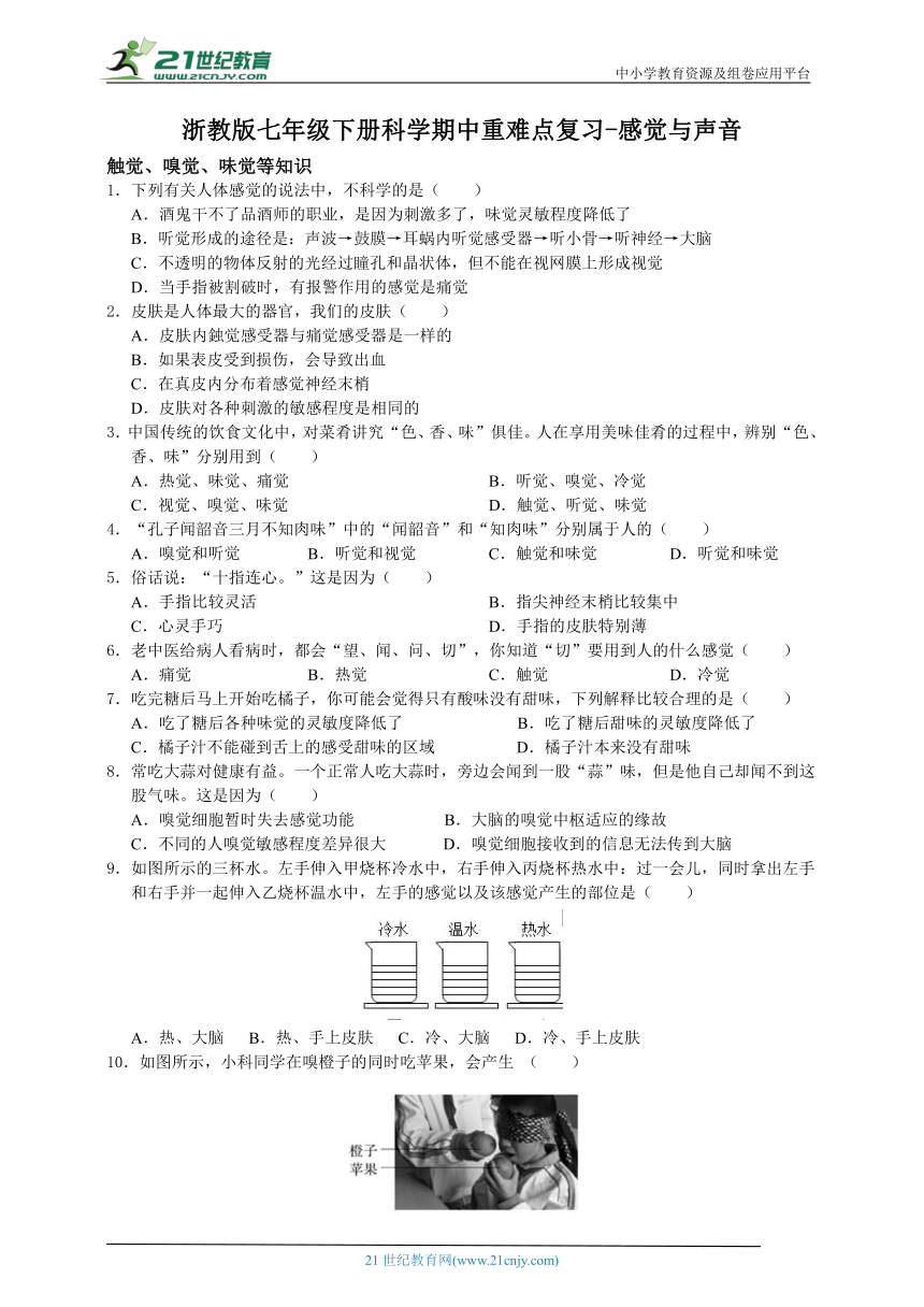 浙教版七年级下册科学期中重难点复习-感觉与声音（含答案）