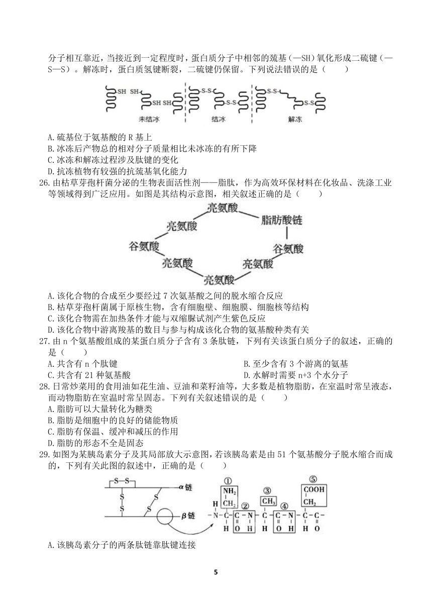 2021-2022学年高一上学期生物人教版（2019）必修1第二章组成细胞的分子测试题（Word版含答案）