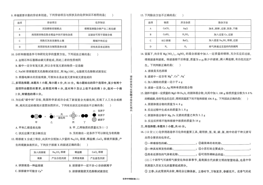 2024年山东省济南市莱芜实验学校中考模拟预测化学试题（二）（图片版含答案）