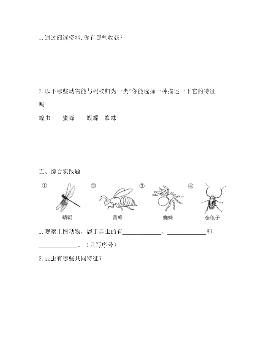 青岛版（六三制）四年级上册科学1.1.蚂蚁  一课一练（无答案）