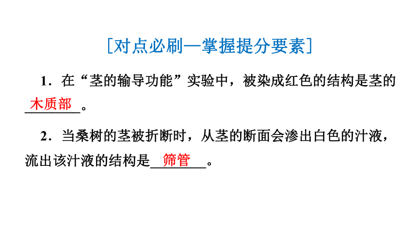 2024年中考一轮复习：专题七绿色植物的作用复习课件(共70张PPT)