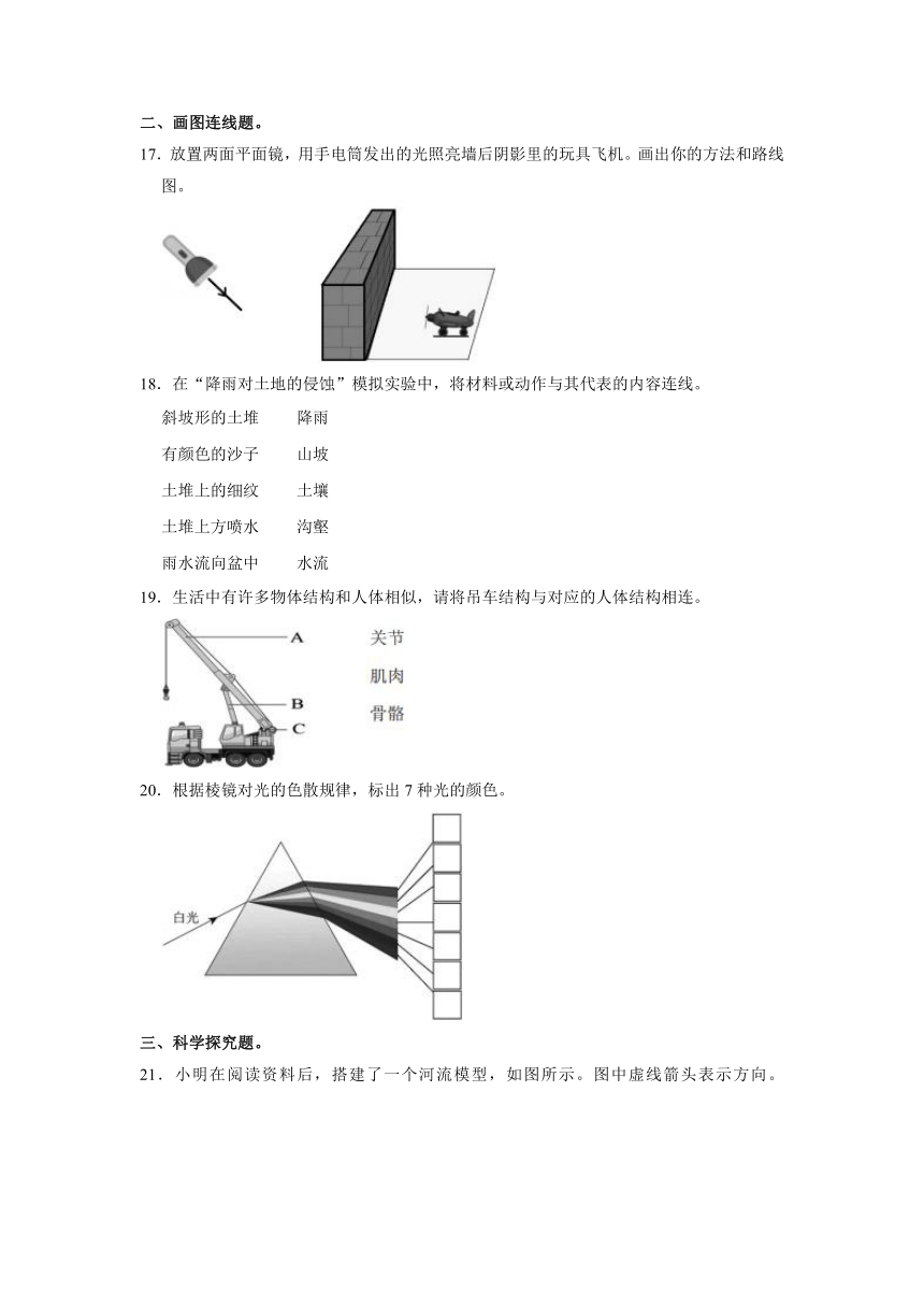 广东省深圳市龙岗区2022-2023学年五年级上学期期末科学试卷（含解析）