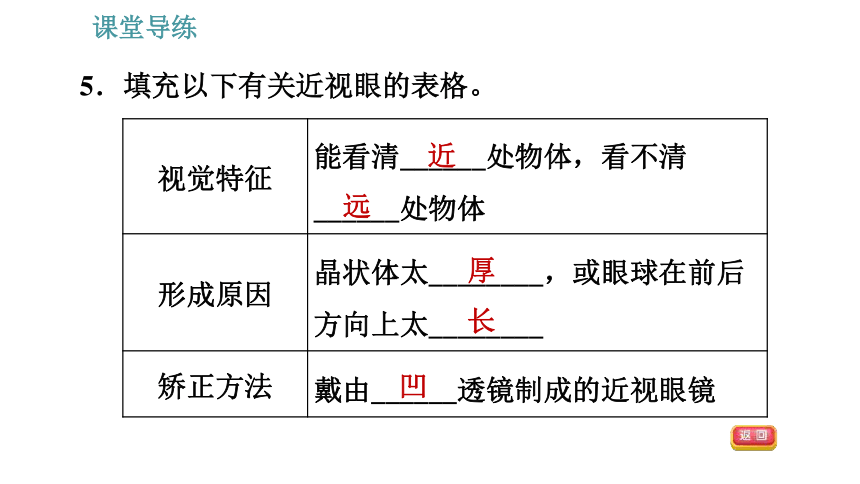 人教版八年级上册物理习题课件 第5章 5.4   眼睛和眼镜（29张）