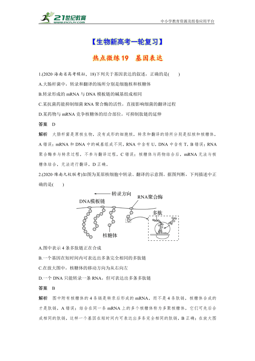 【生物新高考一轮复习】热点微练19　基因表达（word版含解析）