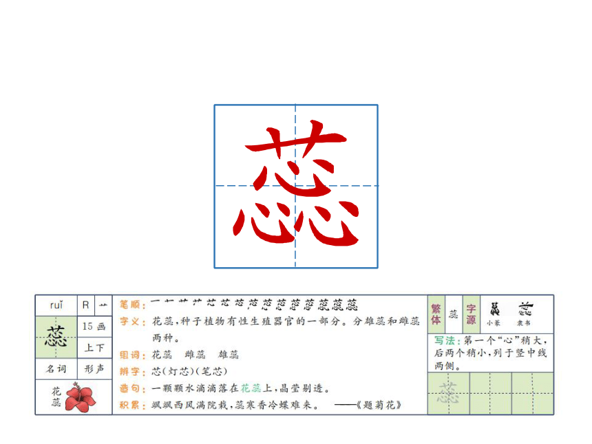 15 真理诞生于一百个问号之后 课件（共35张PPT）