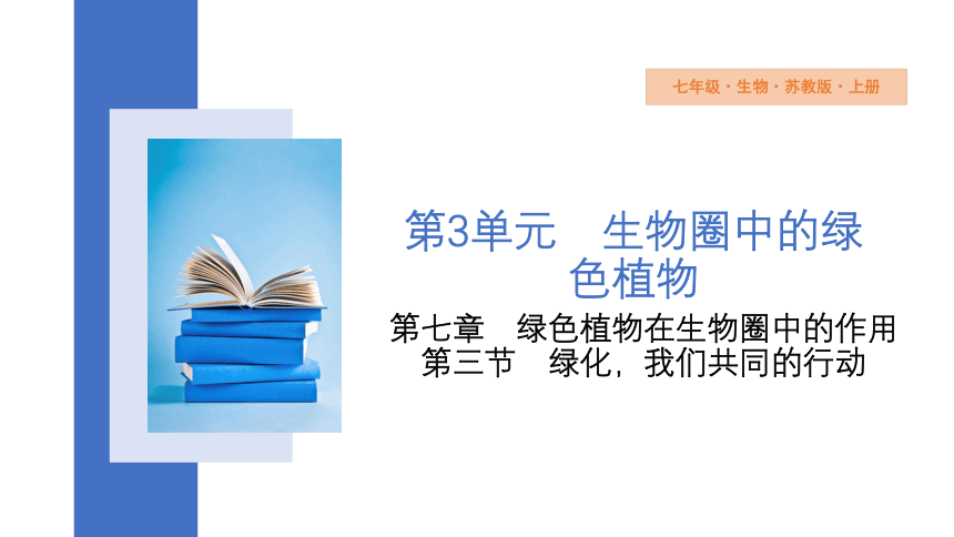 3.7.3 绿化，我们共同的行动   课件(共12张PPT) 2023-2024学年初中生物苏教版七年级上册