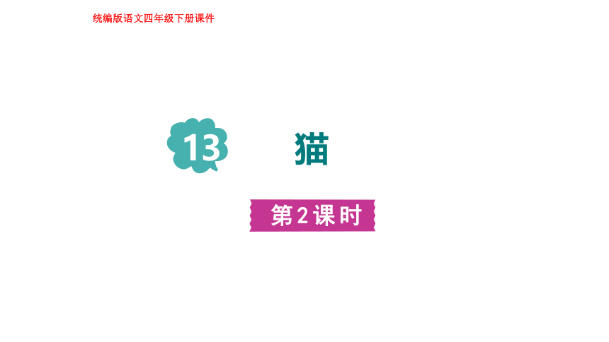 13.猫  第二课时 课件(共25张PPT)