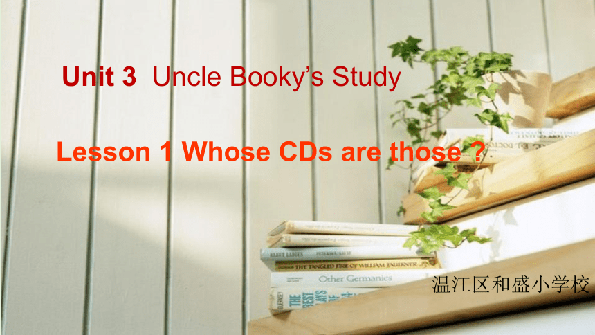 Unit 3 Uncle Booky's Study Lesson 1 Whose CDs are those ?课件（共17张PPT）