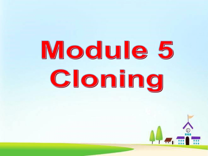 外研版选修6Module 5 Cloning Writing教学课件 (共12张PPT)