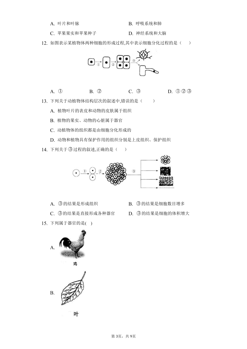 第4章 生物体的结构层次2022-2023学年北师大版生物七年级上册单元同步练习(word版含解析）