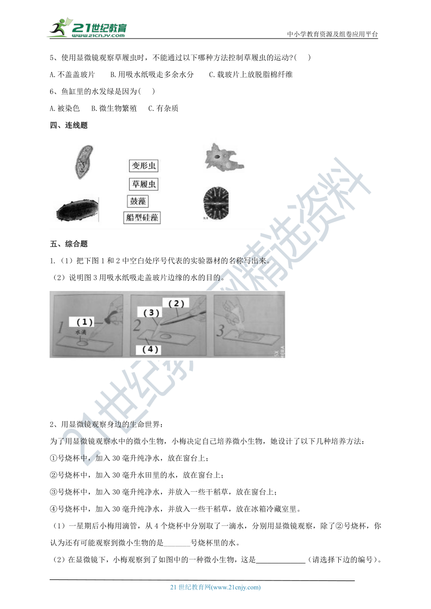 1.6《观察水中微小的生物》练习（含答案）