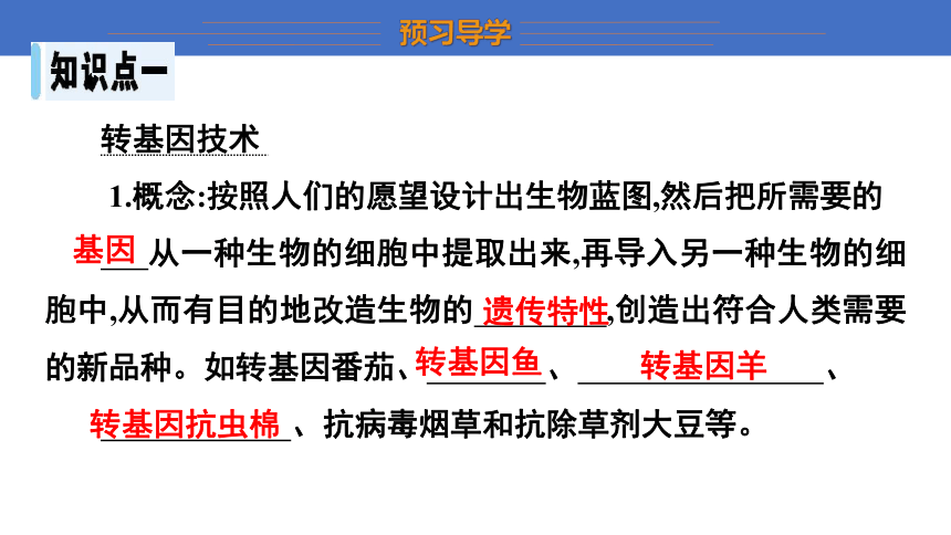 6.4 现代生物技术 课件(共24张PPT)  2023-2024学年初中生物冀少版八年级下册