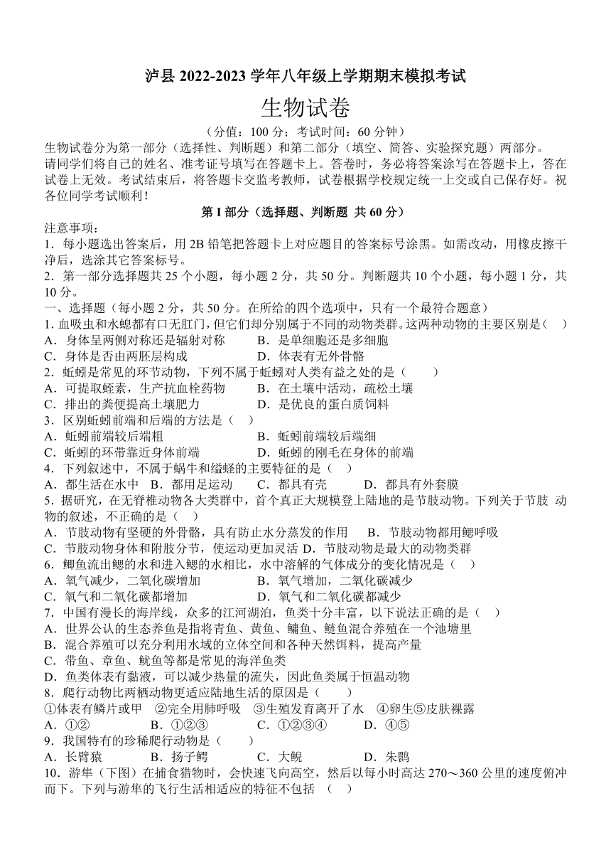 四川省泸州市泸县2022-2023学年鲁科版八年级上学期期末模拟考试生物试题（Word版含答案）