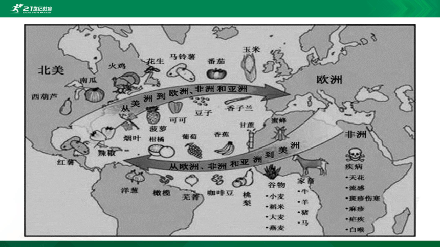 第7课  全球联系的初步建立与世界格局的演变 课件