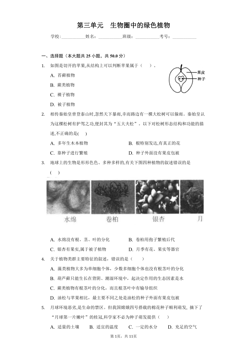 2022-2023学年人教版生物七年级上册单元检测-第三单元　生物圈中的绿色植物(word版含答案）