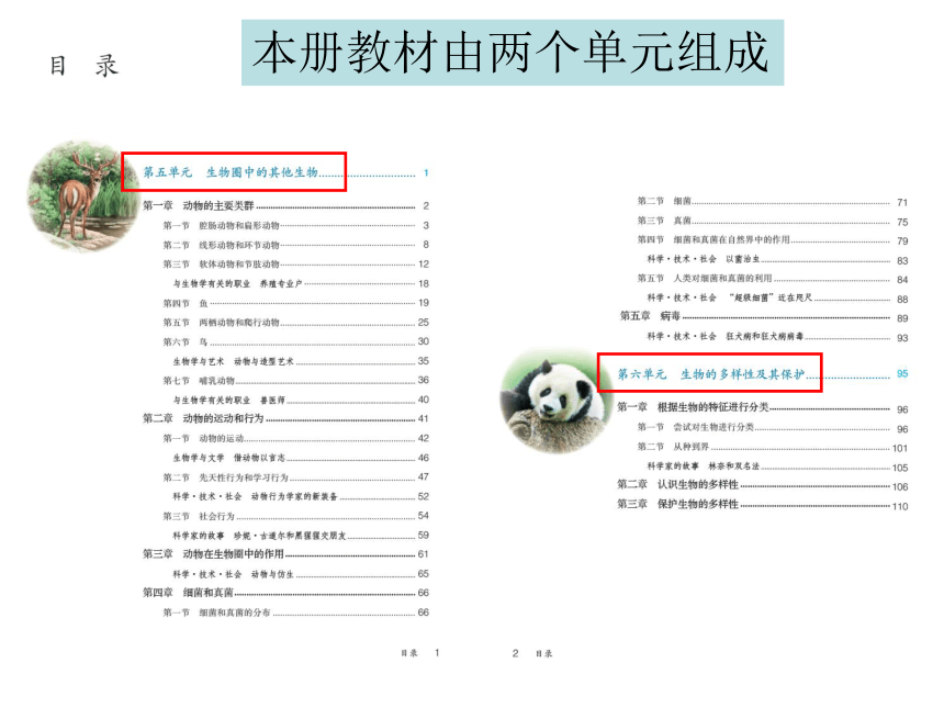 5.1.1腔肠动物和扁形动物 课件(共48张PPT)2021--2022学年人教版生物八年级上册