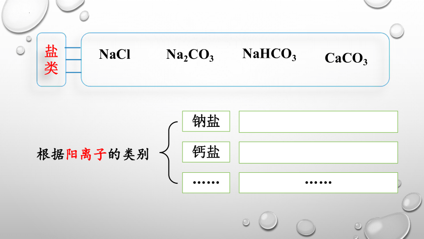 第十一单元课题1 生活中常见的盐（一）课件(共38张PPT)-2023-2024年九年级化学人教版下册