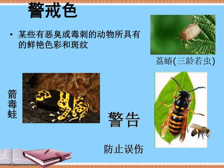 济南版八年级生物下册6.1.2生物对环境的适应与影响课件(共29张PPT)