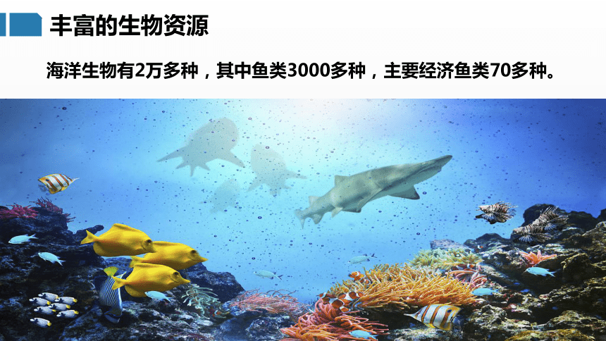 3.4 中国的海洋资源（课件）- 2022-2023学年八年级地理上册同步优质课件（湘教版）(共31张PPT)