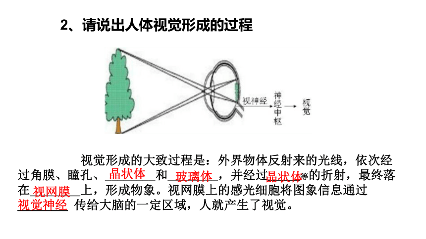 4.12.3 人体感知信息课件(共30张PPT)七年级生物下册（苏教版）