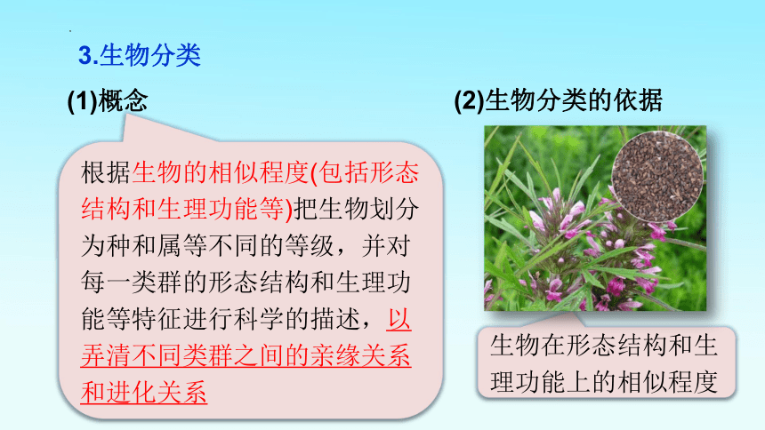 6.1.2从种到界课件 课件(共31张PPT)2021-2022学年人教版八年级上册